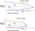 Thumbnail for version as of 02:26, 12 March 2017